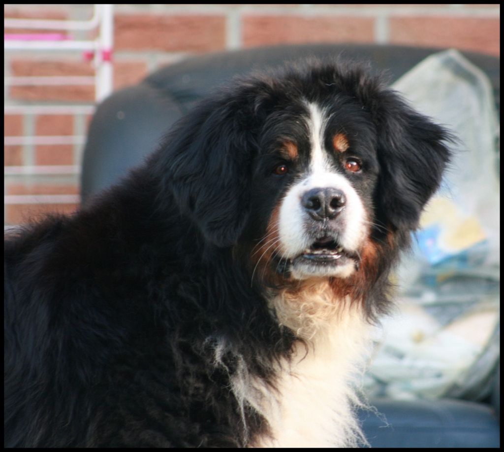 des Cimes d'Asgard - Funky 8 ans et 8 mois
