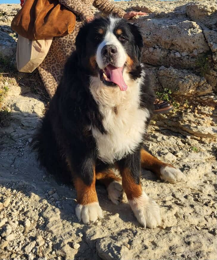 12 ans aujourd'hui pour JEEP !