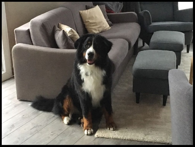 des Cimes d'Asgard - Jack ( Gwen X Klaas ) 2 ans et 10 mois