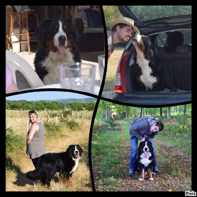des Cimes d'Asgard - Haïko 3 ans
