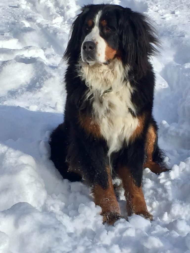 Adieu Heidi...