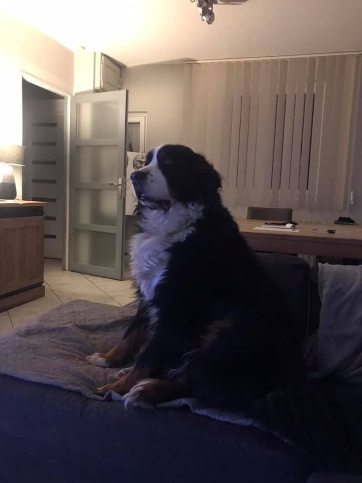 des Cimes d'Asgard - Horus 8 ans