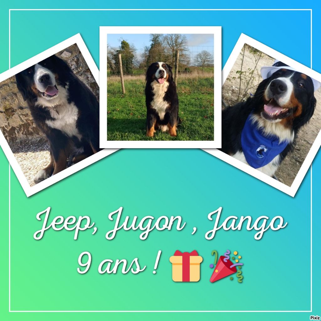 des Cimes d'Asgard - 9 ans pour Jeep, Jugon et Jango