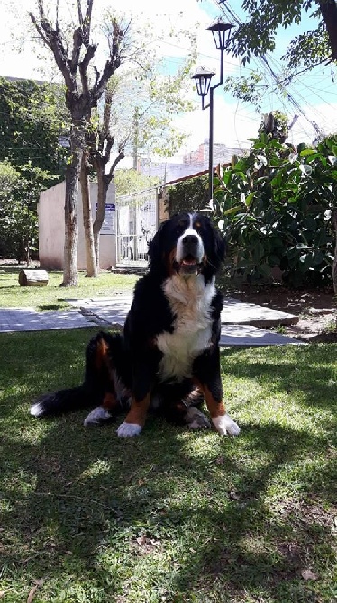 des Cimes d'Asgard - Jeep ( Gwen X Klaas ) 2 ans et 10 mois